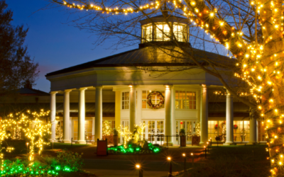 Magic of Holiday Lighting in Highlands Ranch, CO with A Good Front Window Cleaning & Pressure Washing Services