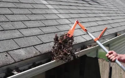 Blog 7 What Happens If You Skip Spring Gutter Cleaning?