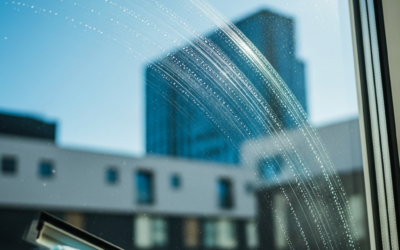 3 Need Sparkling Windows? Where Can You Find Them?